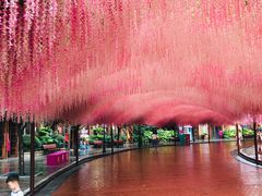 -郑州方特梦幻王国