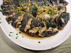 -生态苑农庄(十里画廊遇龙河店)