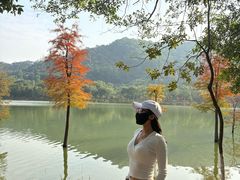 -凤岗南门山森林公园