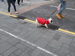 -赤柱市集