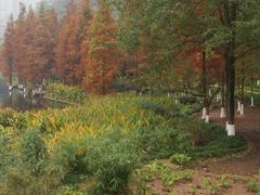 -重庆彩云湖湿地公园