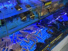 -日照大牌檔•小船海鲜(万平口店)