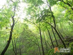 -北京上方山国家森林公园