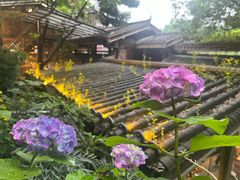-巴倒烫陆派火锅山庄(南山总店)