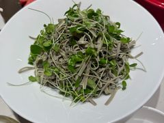 -杨氏青龙虾·羊蝎子(托乐嘉店)