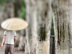 -龙头寺公园
