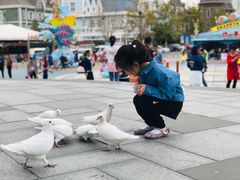 -烟台海昌鲸鲨海洋公园