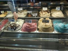 -Dooley's Premium Ice Cream