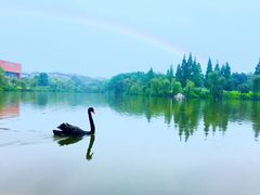 -重庆彩云湖湿地公园