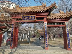 -桃花堤公园