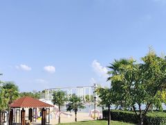 -九龙湖公园