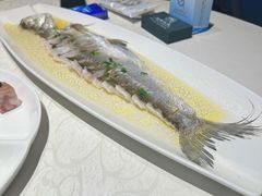 -至尊鲨鱼·原烹海鲜·新浙菜(拱宸桥店)