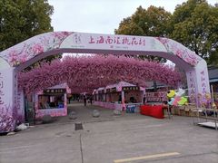 -南汇桃花村