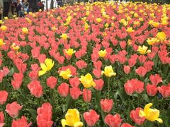 iphone_upload_pic-保利石象湖景区