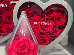 -ROSEONLY诺誓(广州K11店)