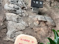 -中国第四纪冰川遗迹陈列馆
