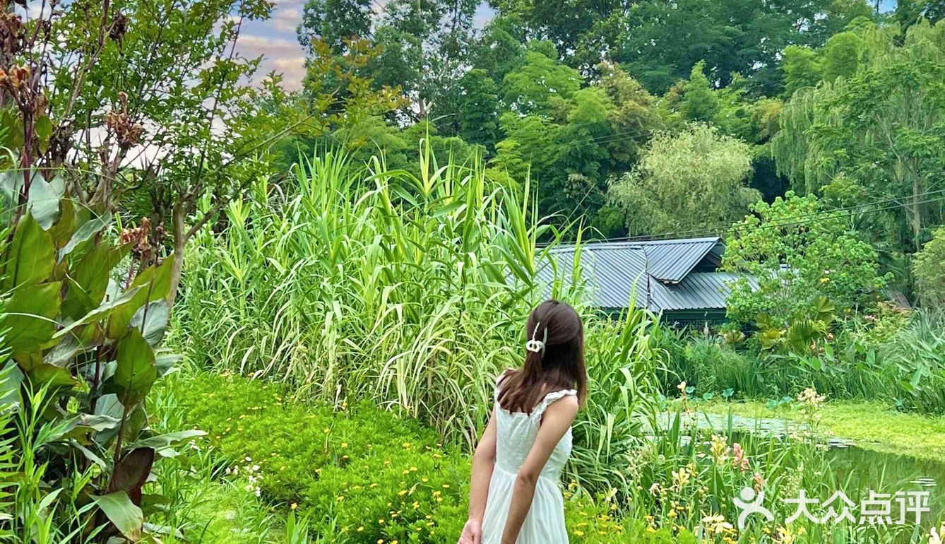 成都周边游‼️40000平现实版绿野仙踪🖼 .