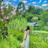 成都周边游‼️40000平现实版绿野仙踪🖼 .