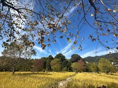 -塔川景区