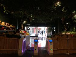 -奇幻丛林(佛罗伦萨小镇店)