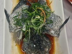 -鹿鸣酒家(越秀店)