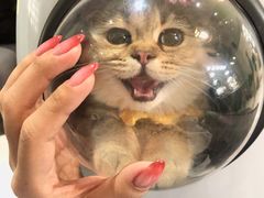 -萌兽医馆·眼科·异宠专科(三里屯店)