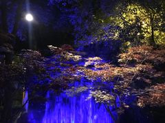 -热带风暴水上乐园(新镇路)