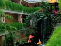 -白天鹅宾馆-宏图府餐厅