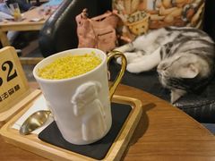 -咖法森林·咖啡  酒吧(天河店)