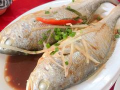 -蛇口康乐快餐鱼仔档(翠苑小区店)