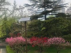 -团结湖公园