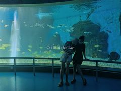 -泉城欧乐堡海洋极地世界