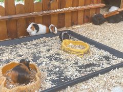 -珠海海泉湾神秘岛亲子乐园