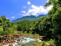 -九龙江国家森林公园