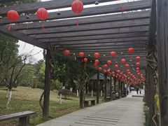 -白马涧龙池景区