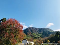 -塔川景区