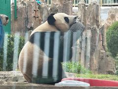 -大连森林动物园