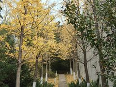 -北京中信金陵酒店