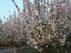 -元大都城垣遗址公园