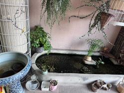 -威思丽高温瑜伽会馆