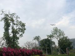 -宝安西湾红树林湿地公园