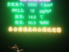 -黄海国家森林公园