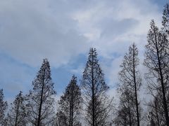 -上海怡沁园度假酒店