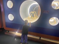 -烟台海昌鲸鲨海洋公园