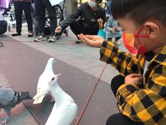 -KKV(深圳宏发大仟里店)