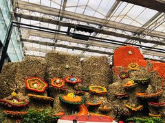 -兰陵国家农业公园