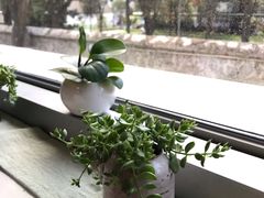 -天厨妙香素食餐厅(清华店)