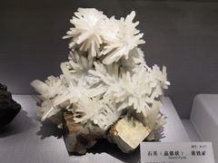 -湖南省地质博物馆