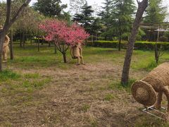 -黄河富景生态世界