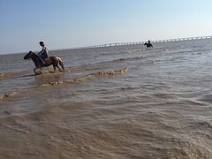 -南汇嘴观海公园